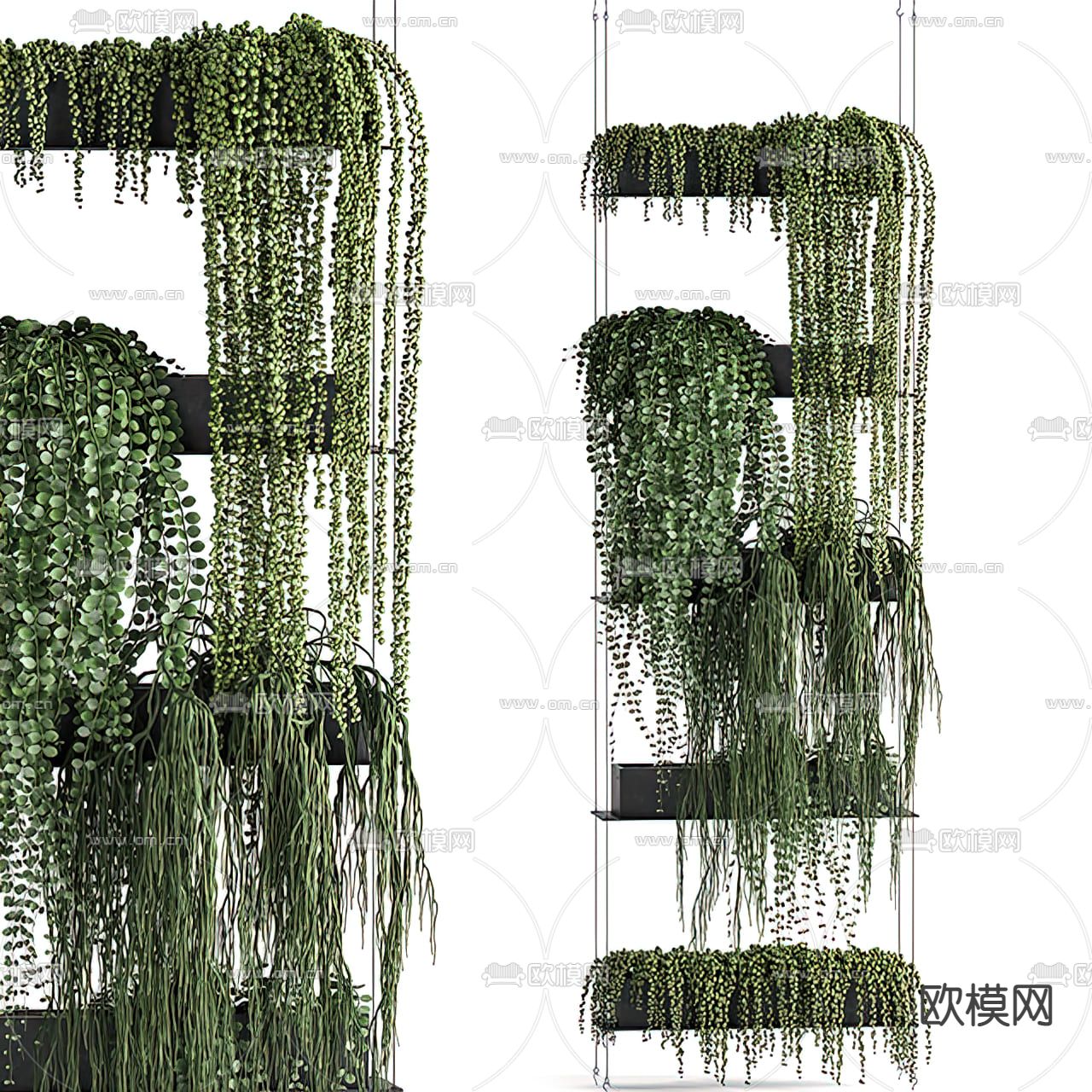 现代绿植盆栽吊篮3d模型