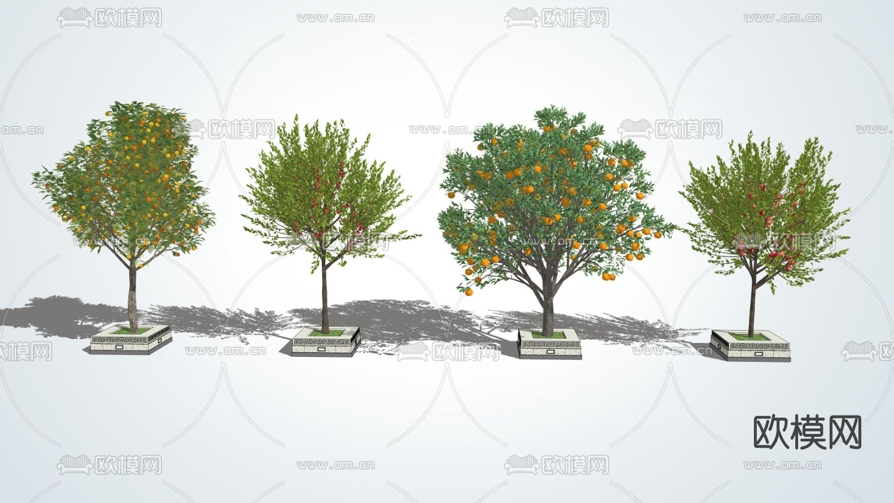 现代景观树果树su模型下载（渲染图1）