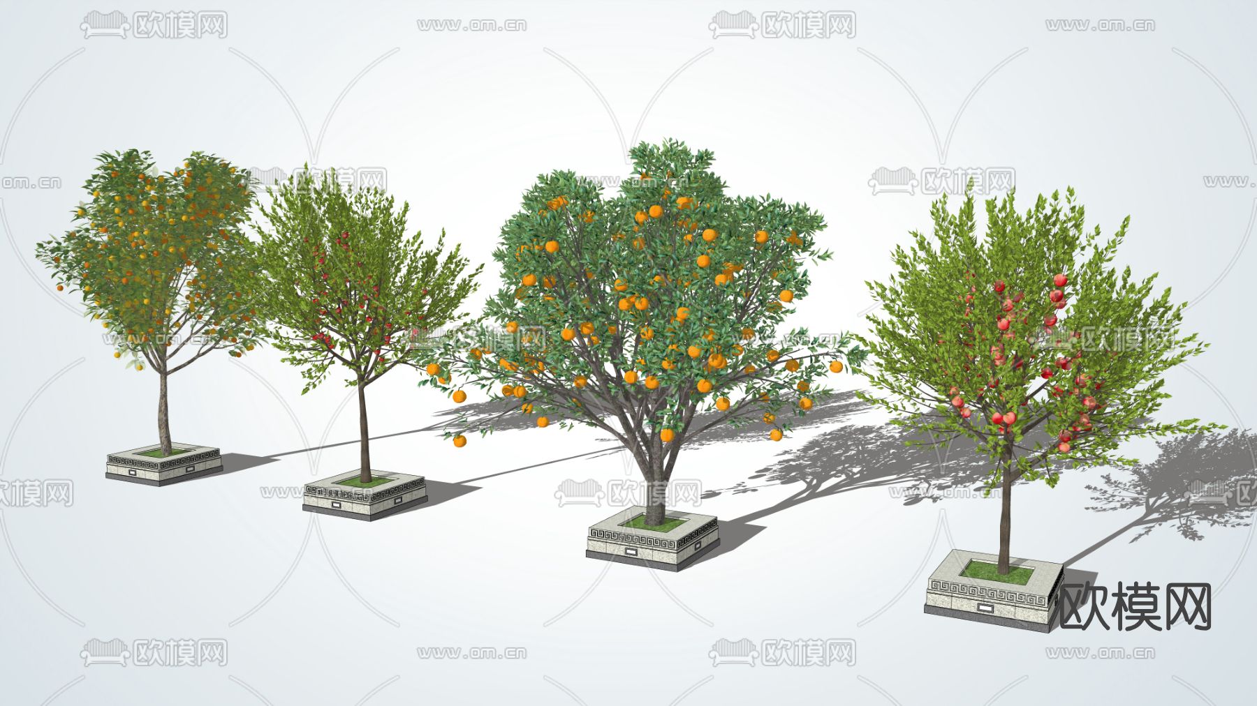 现代景观树果树su模型下载（渲染图3）