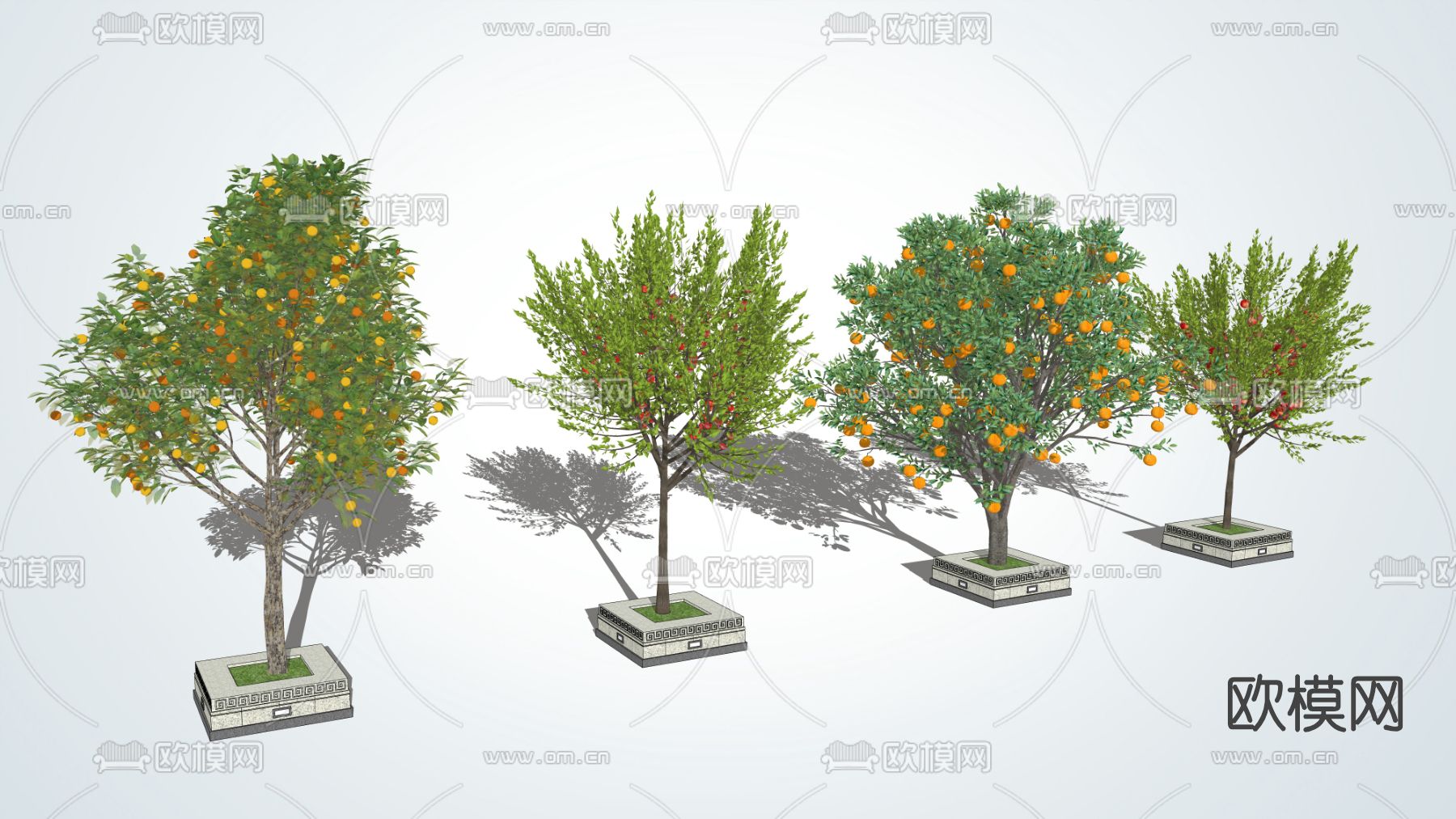 现代景观树果树su模型下载（渲染图2）