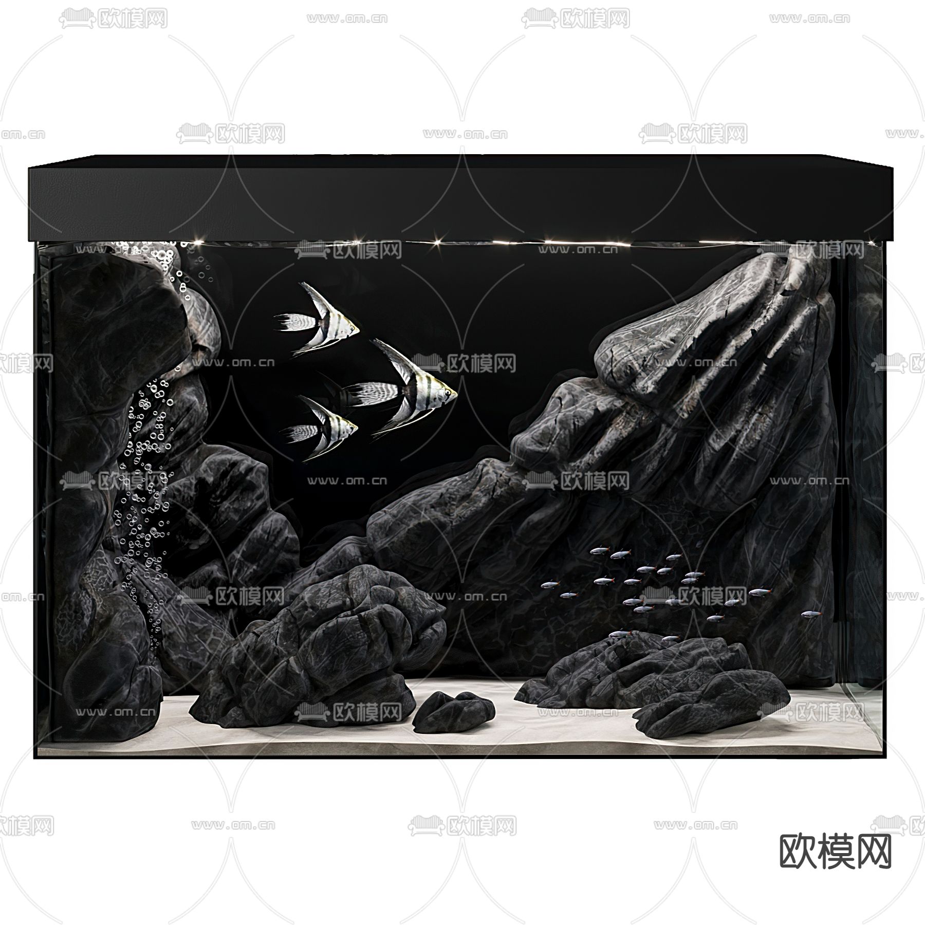 现代鱼缸水池观赏鱼3d模型下载
