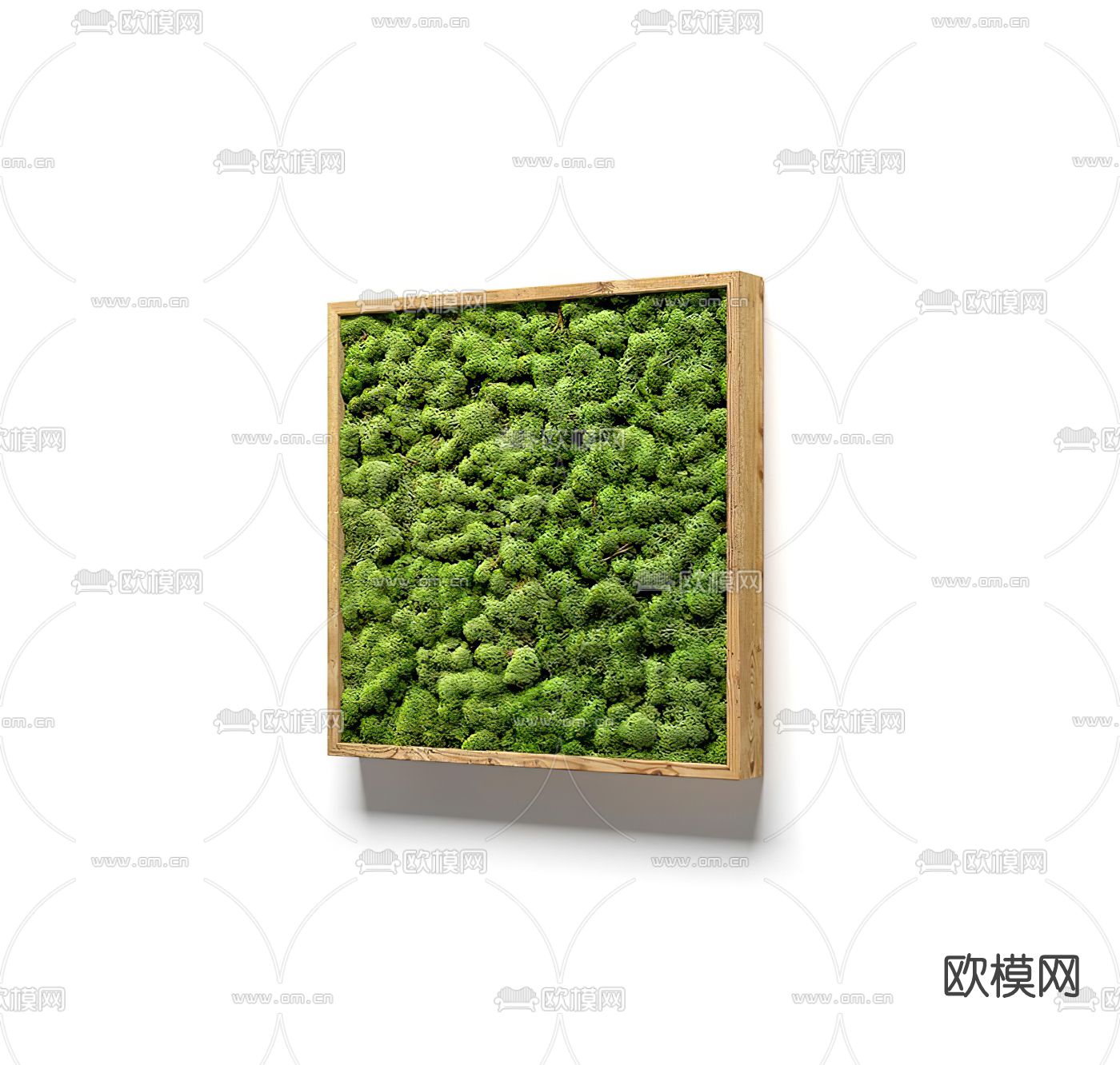 现代苔藓植物墙3d模型