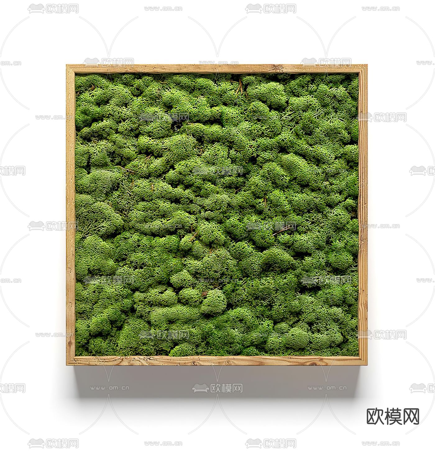 现代苔藓植物墙3d模型