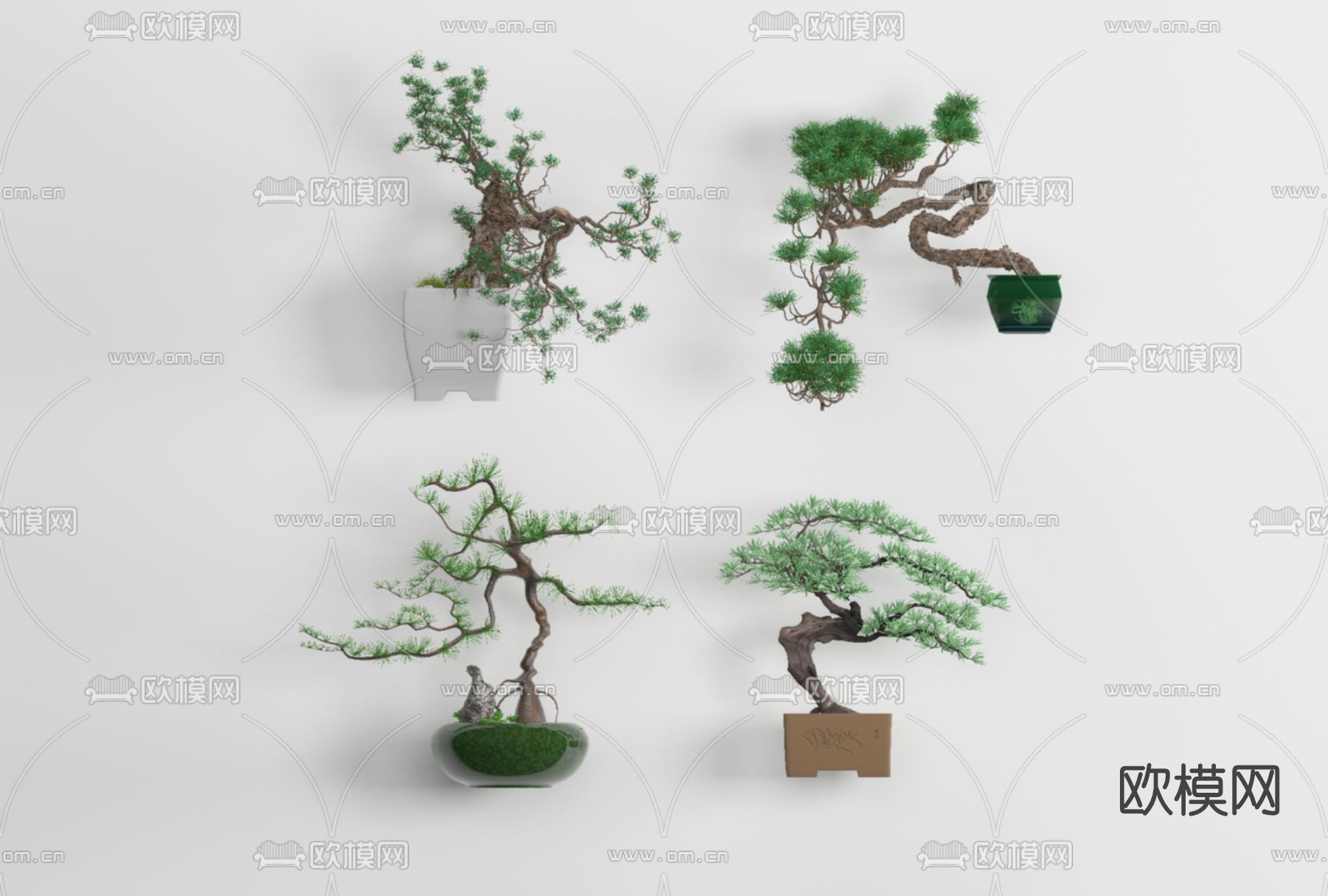 新中式松树盆栽免费3d模型下载