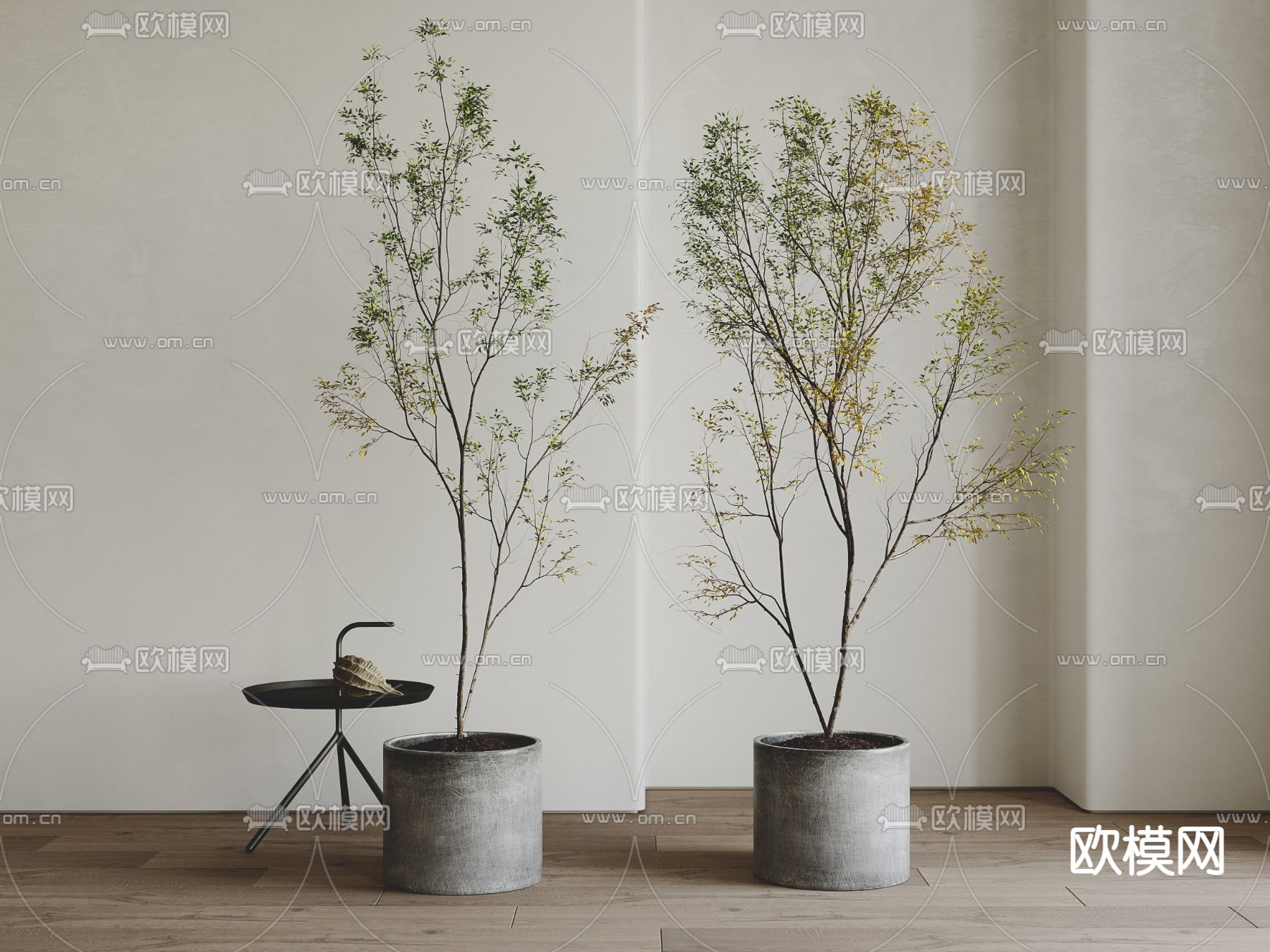现代绿植盆栽3d模型