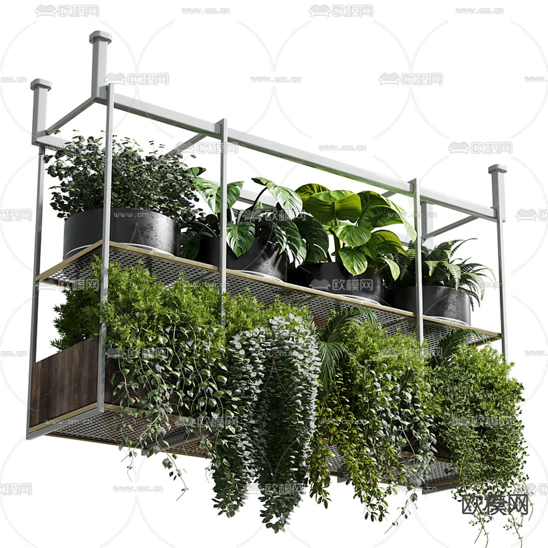 现代植物盆栽吊篮3d模型下载（渲染图3）