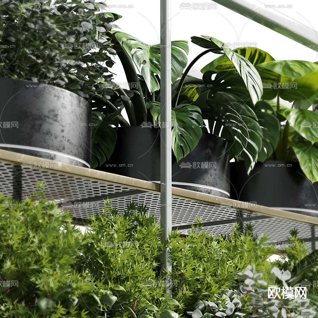 现代植物盆栽吊篮3d模型下载（渲染图4）