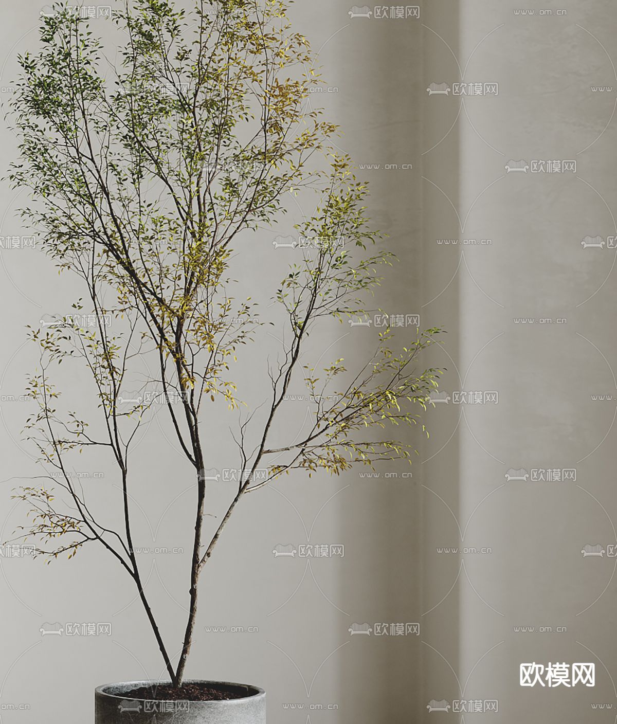 现代绿植盆栽3d模型