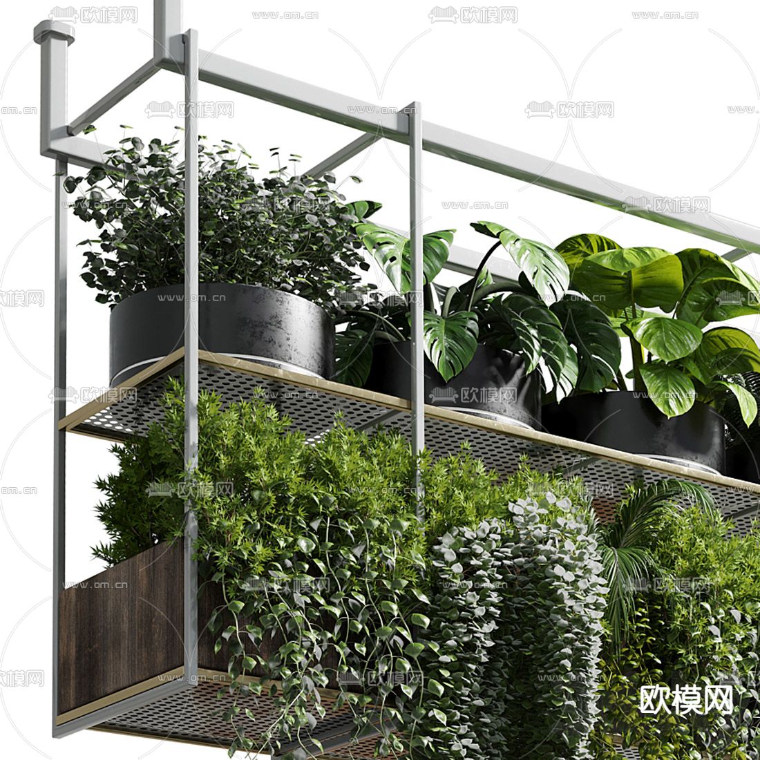 现代植物盆栽吊篮3d模型下载（渲染图2）