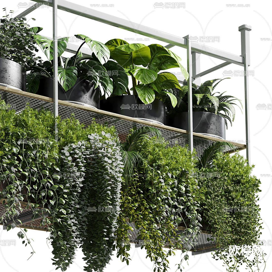 现代植物盆栽吊篮3d模型下载（渲染图1）