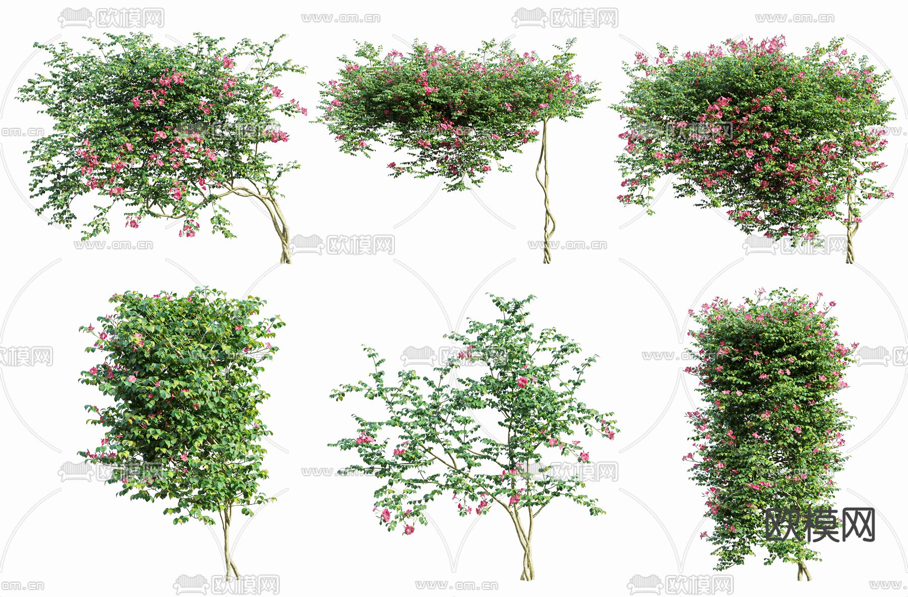 现代凌霄花3d模型下载