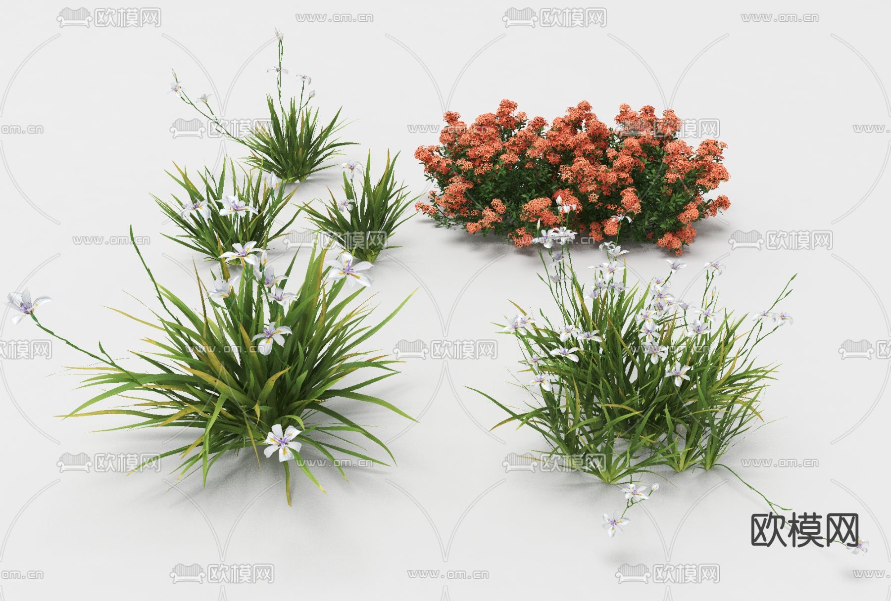 现代绿植花草免费3d模型下载_ID11580110_3dmax免费模型-欧模网