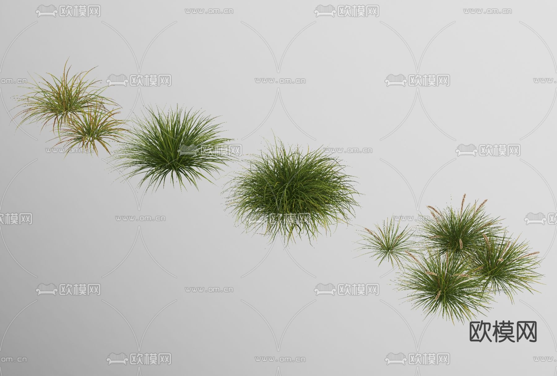 现代绿植花草免费3d模型下载