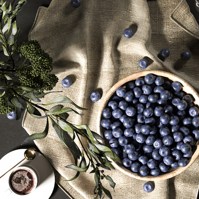  现代蓝莓水果su模型 