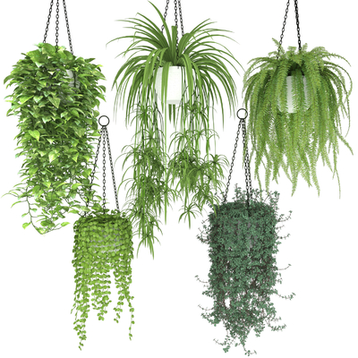 现代绿植吊篮su模型 