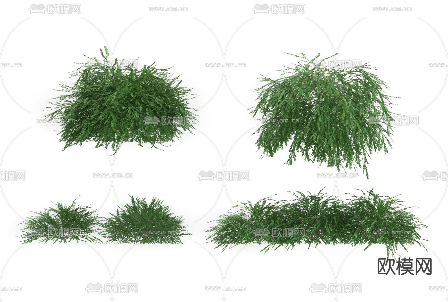现代绿植花草免费3d模型下载