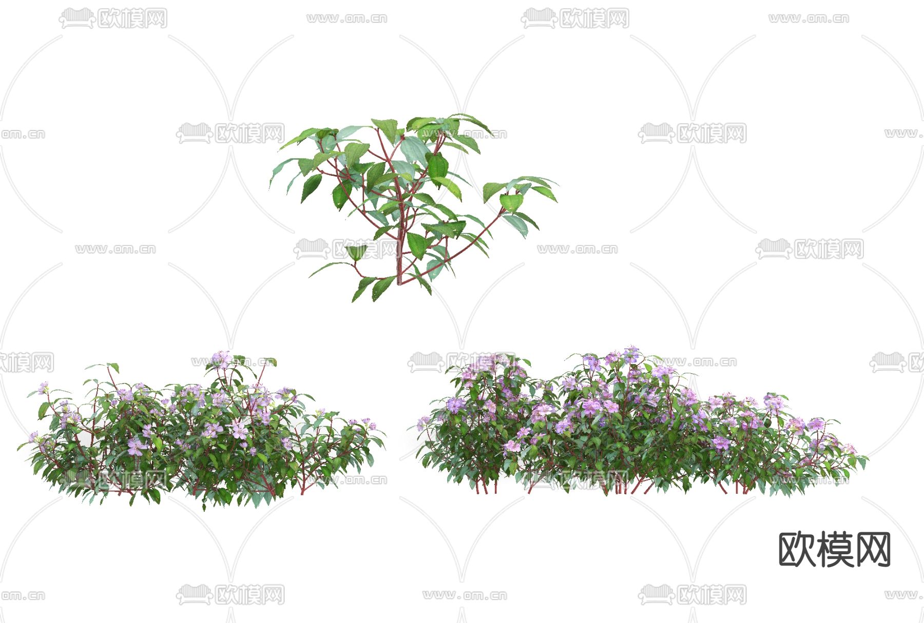 现代绿植花草免费3d模型下载