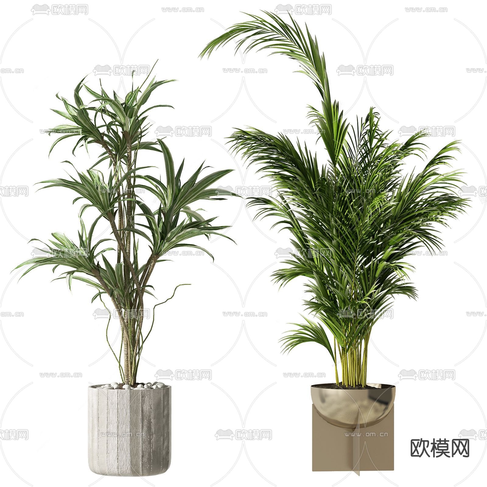 现代植物盆栽su模型