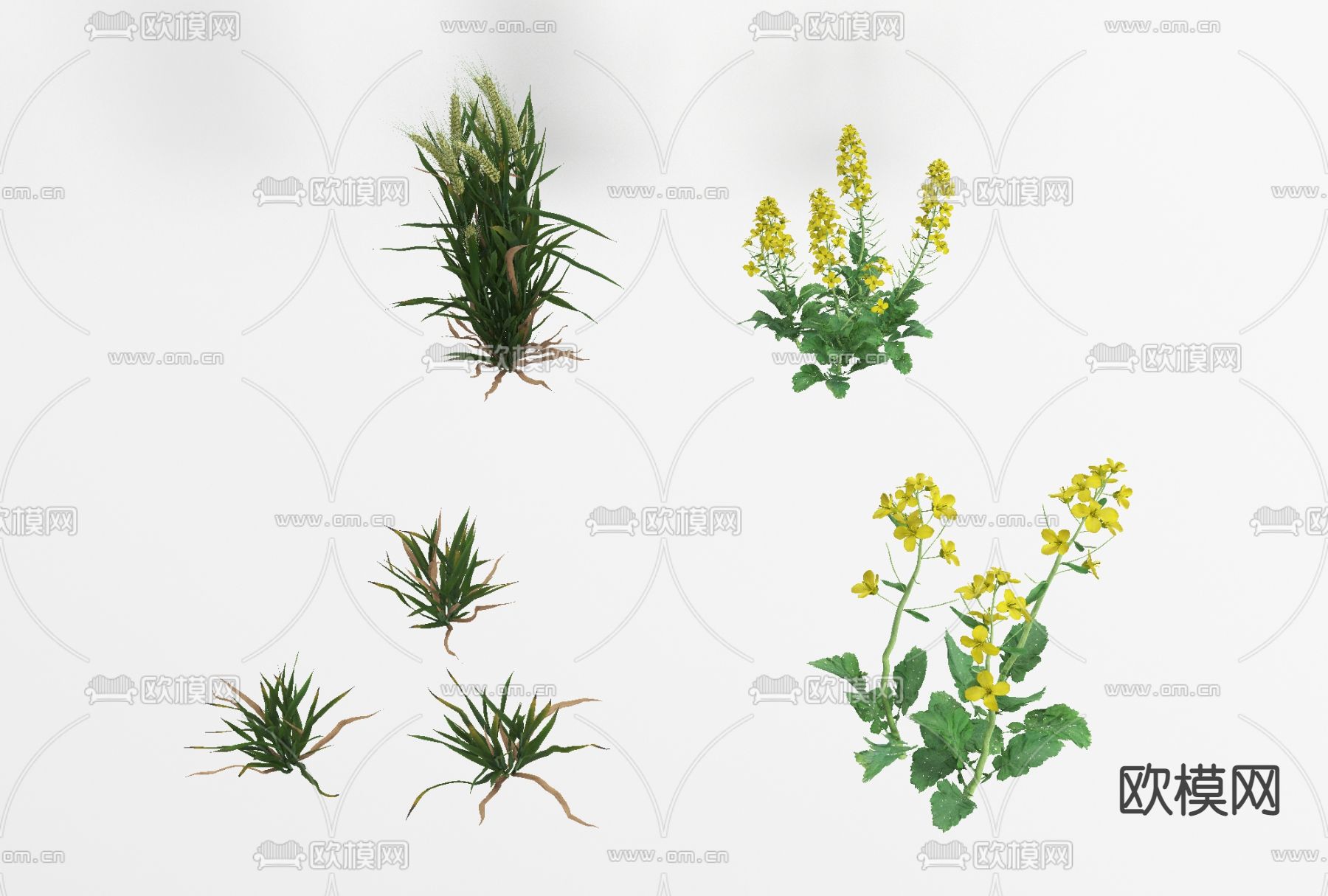 现代绿植花草免费3d模型下载