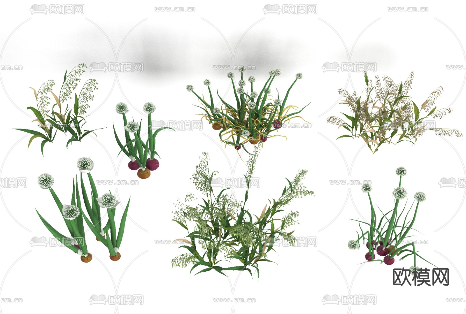现代绿植蒲公英免费3d模型下载