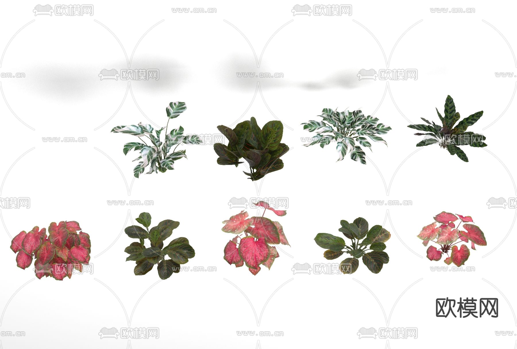 现代绿植花卉花草免费3d模型下载