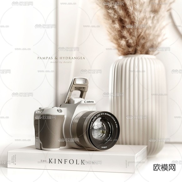 现代相机花瓶干花摆件3d模型下载(渲染图2)