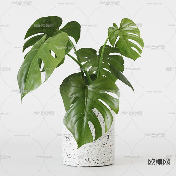 现代植物盆栽3d模型下载(渲染图2)