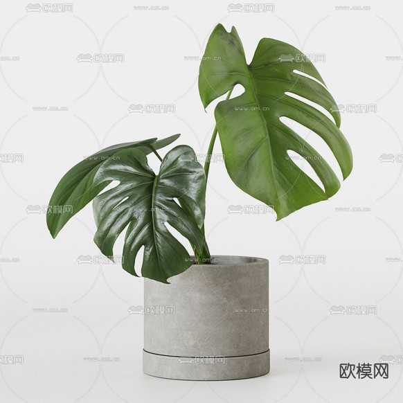 现代植物盆栽3d模型下载(渲染图3)