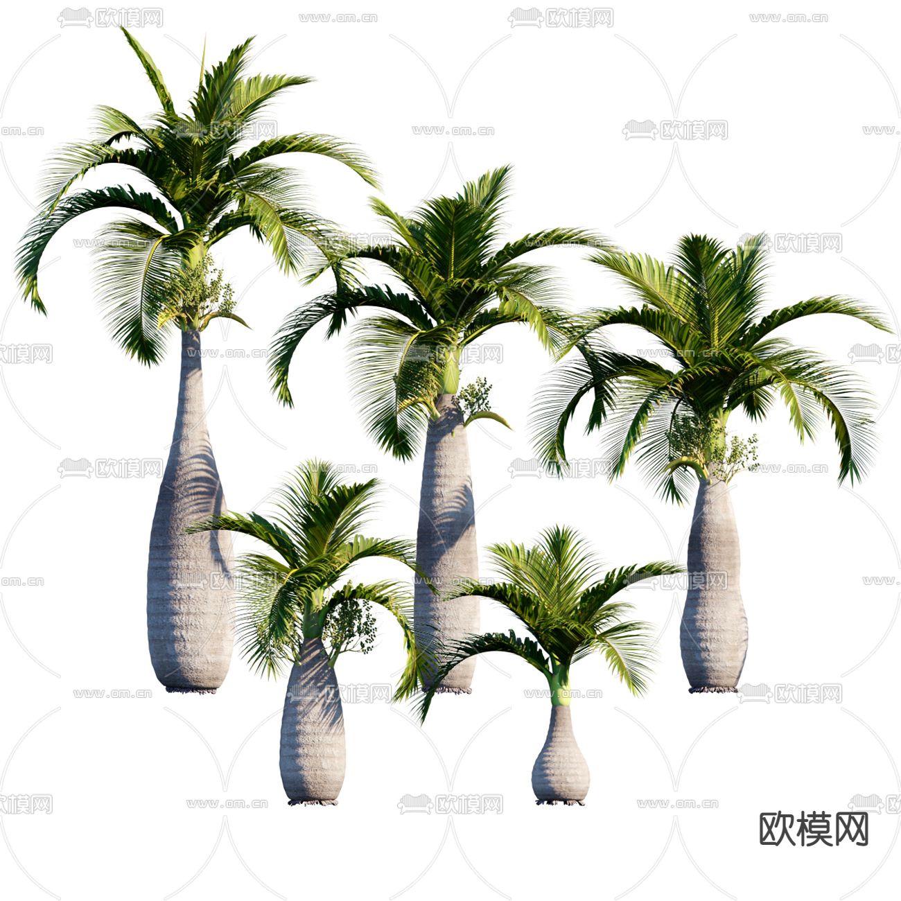 现代椰子树3d模型