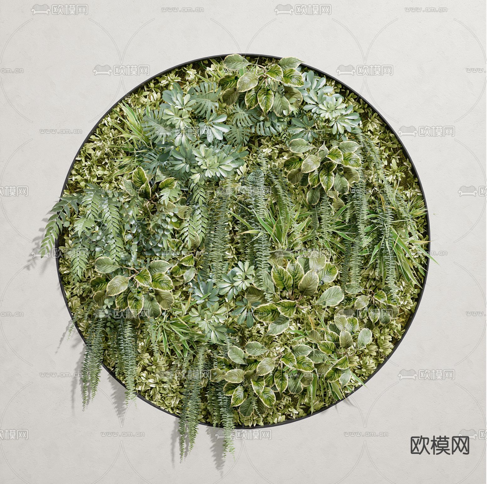 现代植物墙3d模型