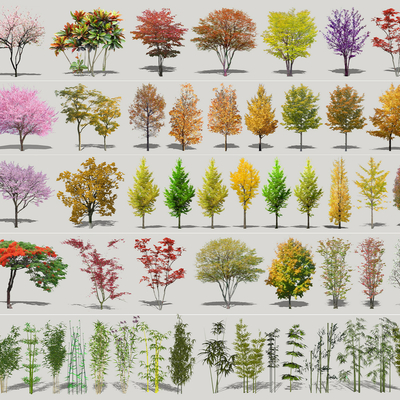  现代花灌木su模型 