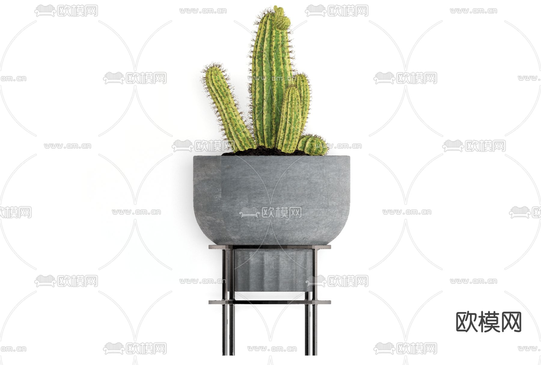 现代仙人掌盆栽免费3d模型下载