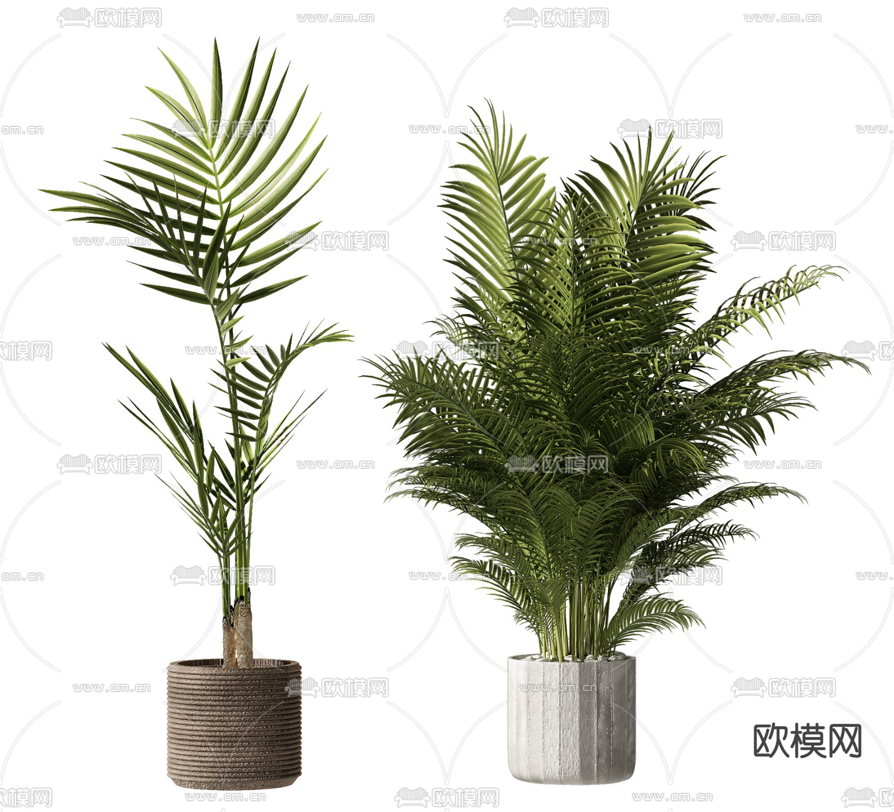 现代散尾葵绿植盆栽3d模型下载_ID11594390_3dmax免费模型-欧模网