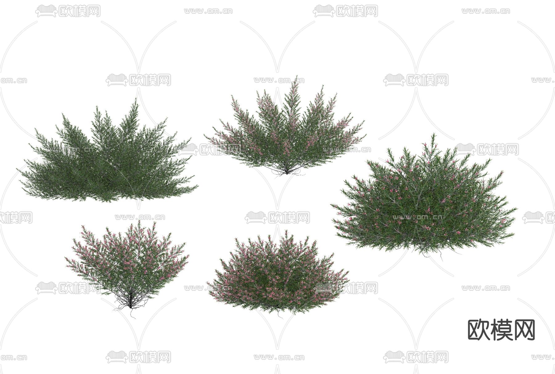 现代绿植花草免费3d模型下载