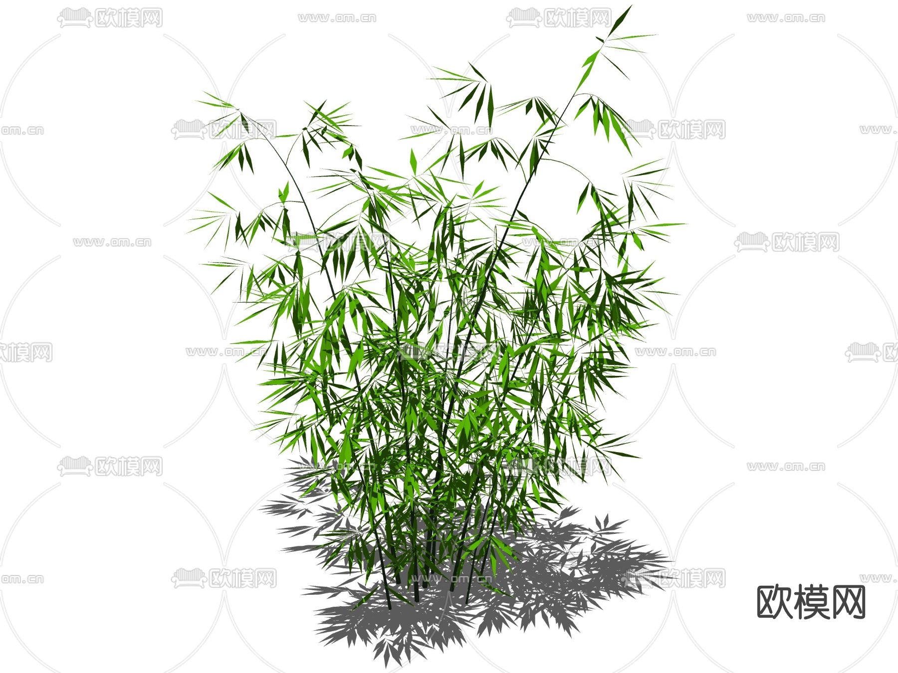 现代植物竹子su模型