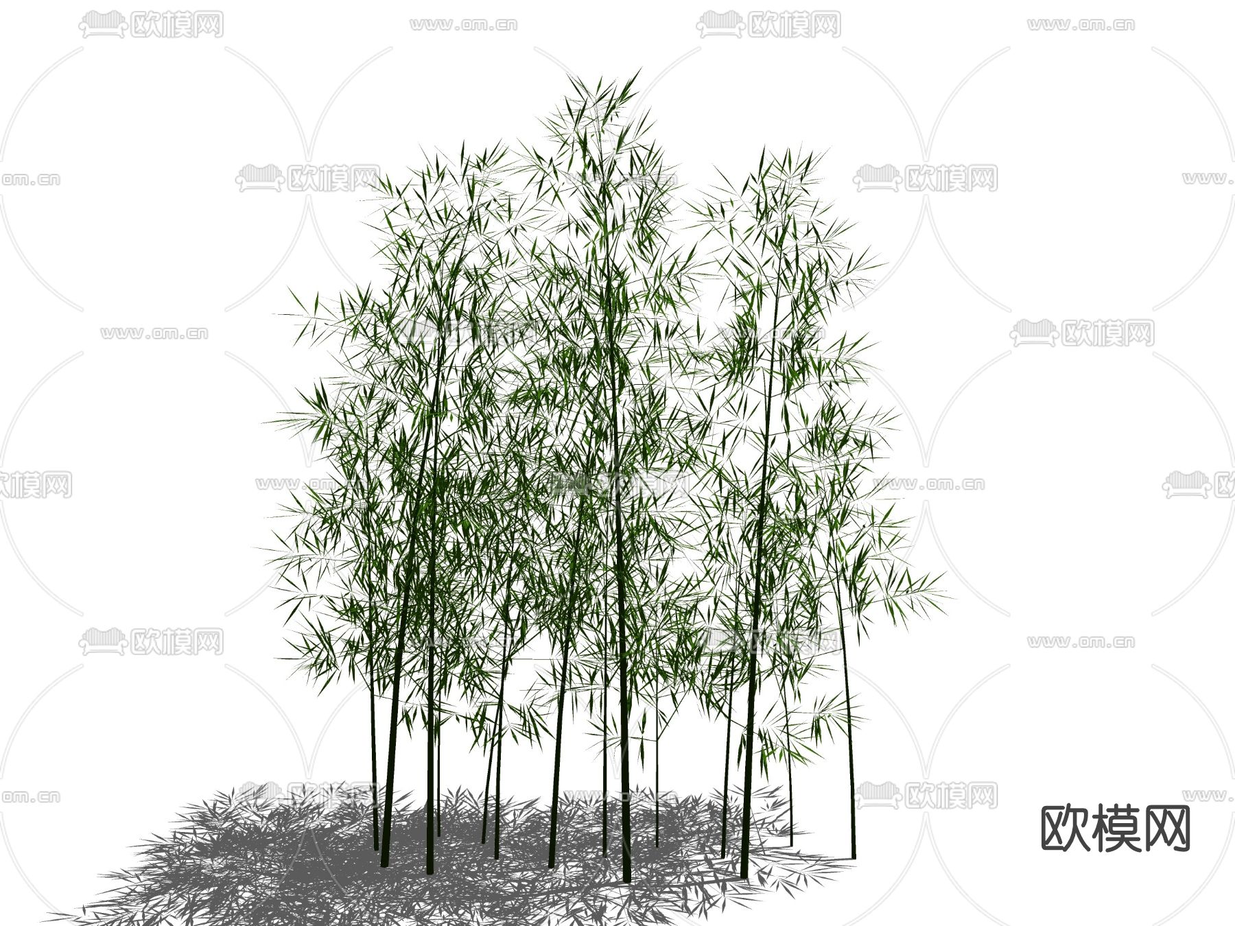 现代植物竹子su模型