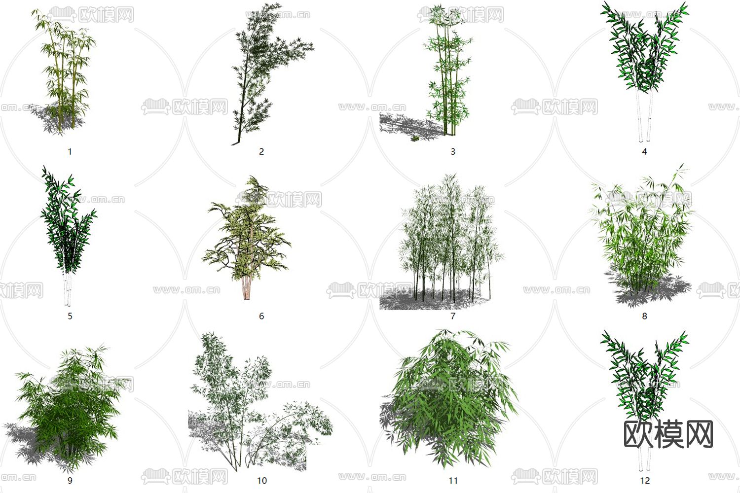 现代植物竹子su模型