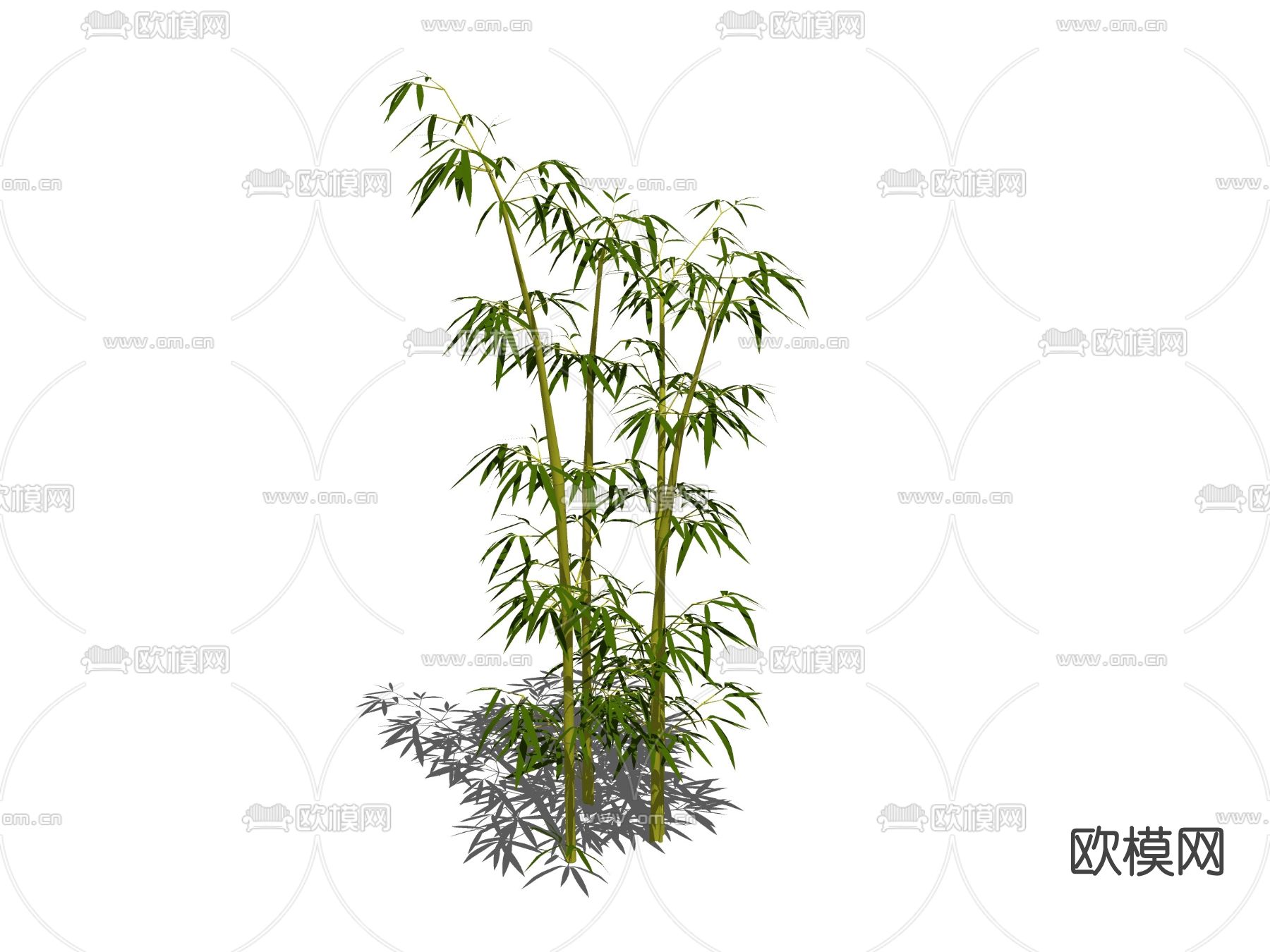 现代植物竹子su模型