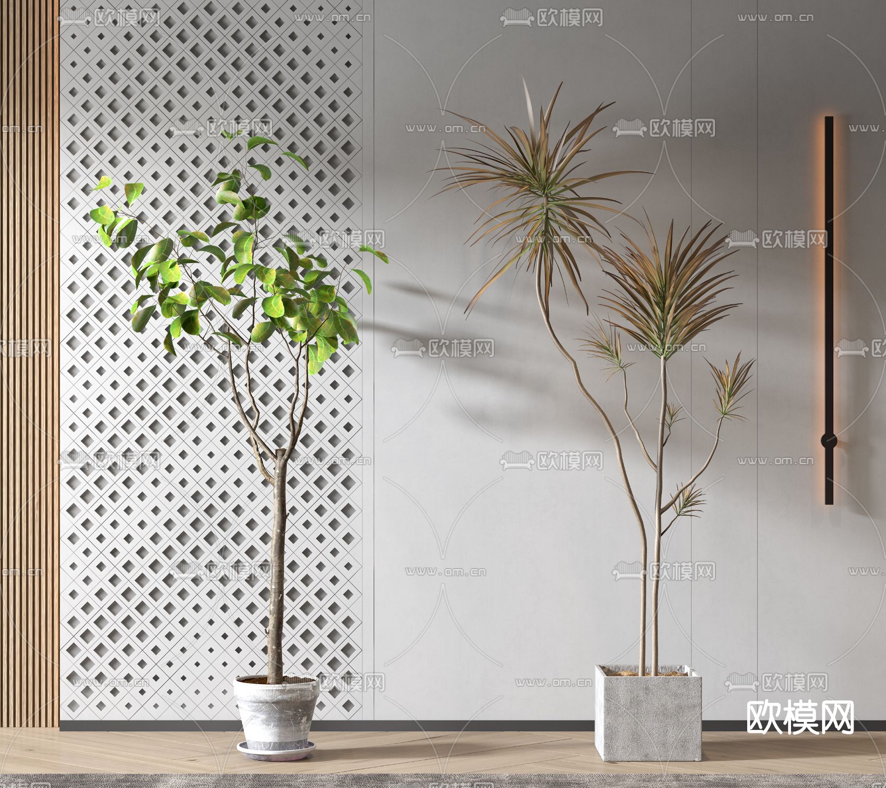 现代植物盆栽3d模型