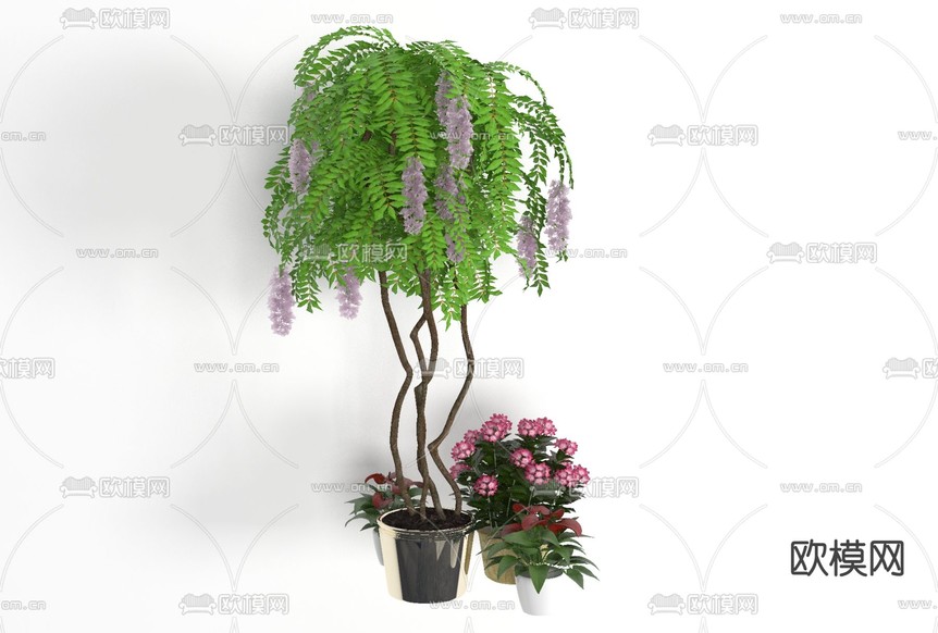 现代绿植盆栽免费3d模型下载