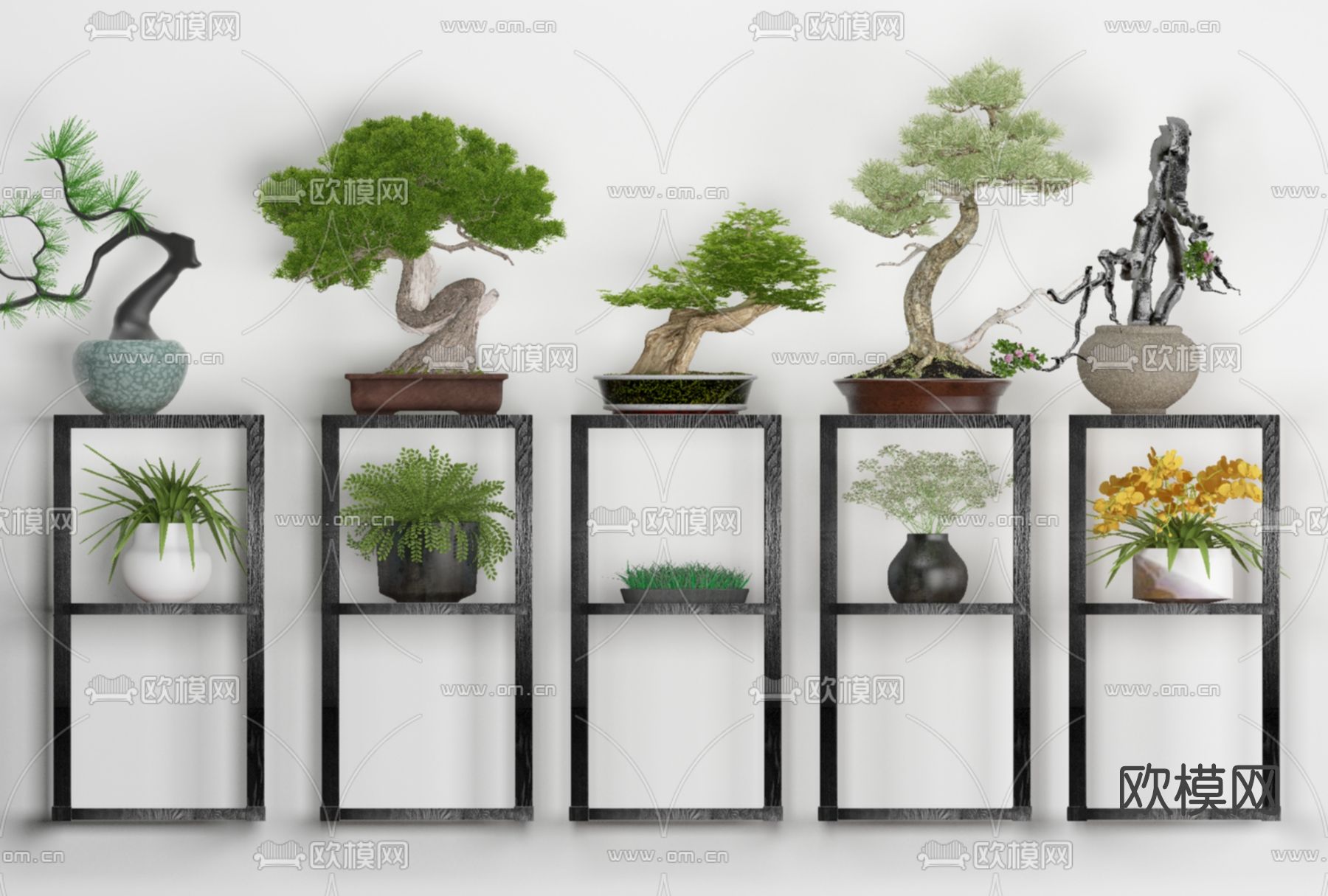 新中式松树盆栽免费3d模型下载