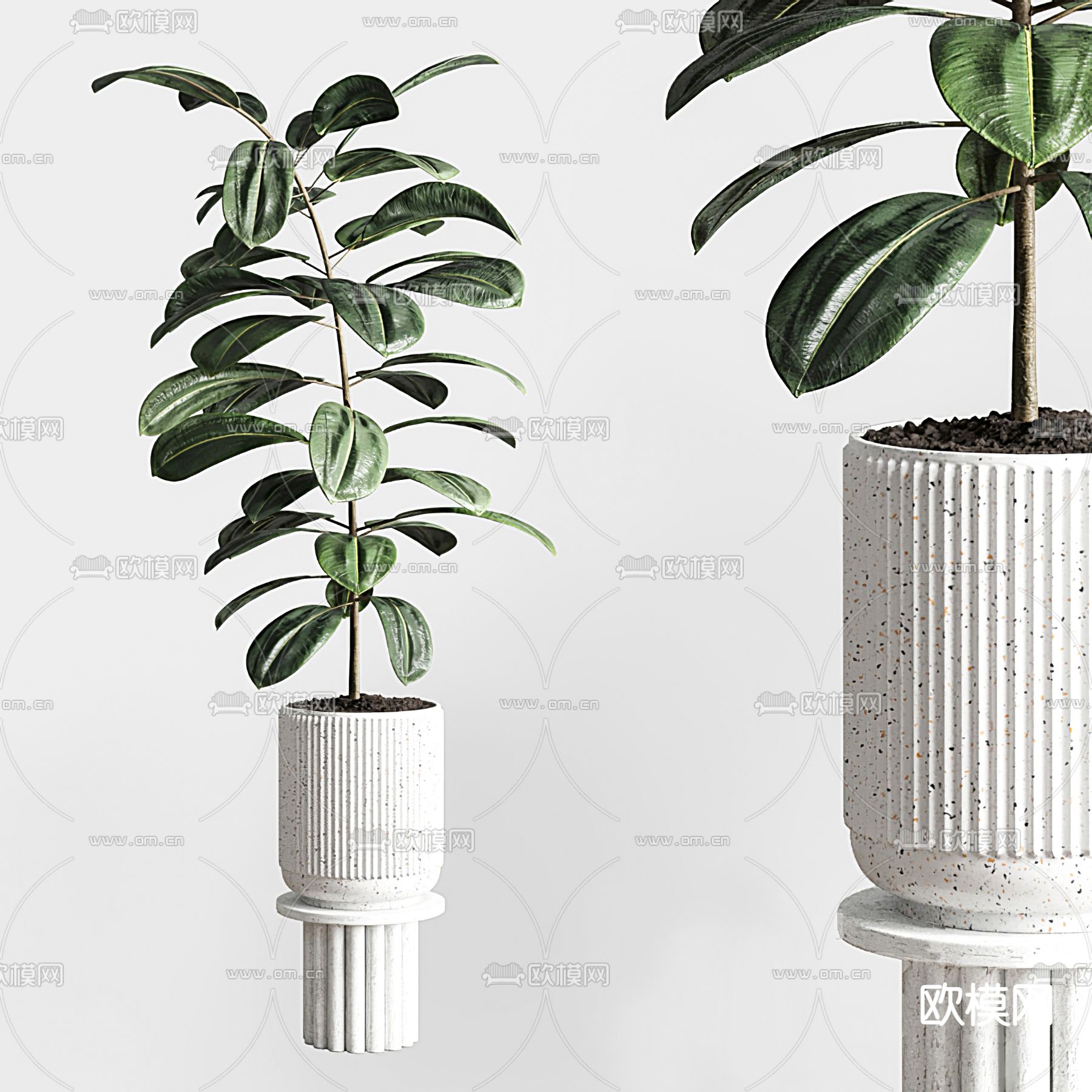 现代绿植盆栽3d模型