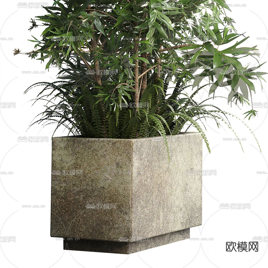 现代盆栽竹子3d模型下载（渲染图4）