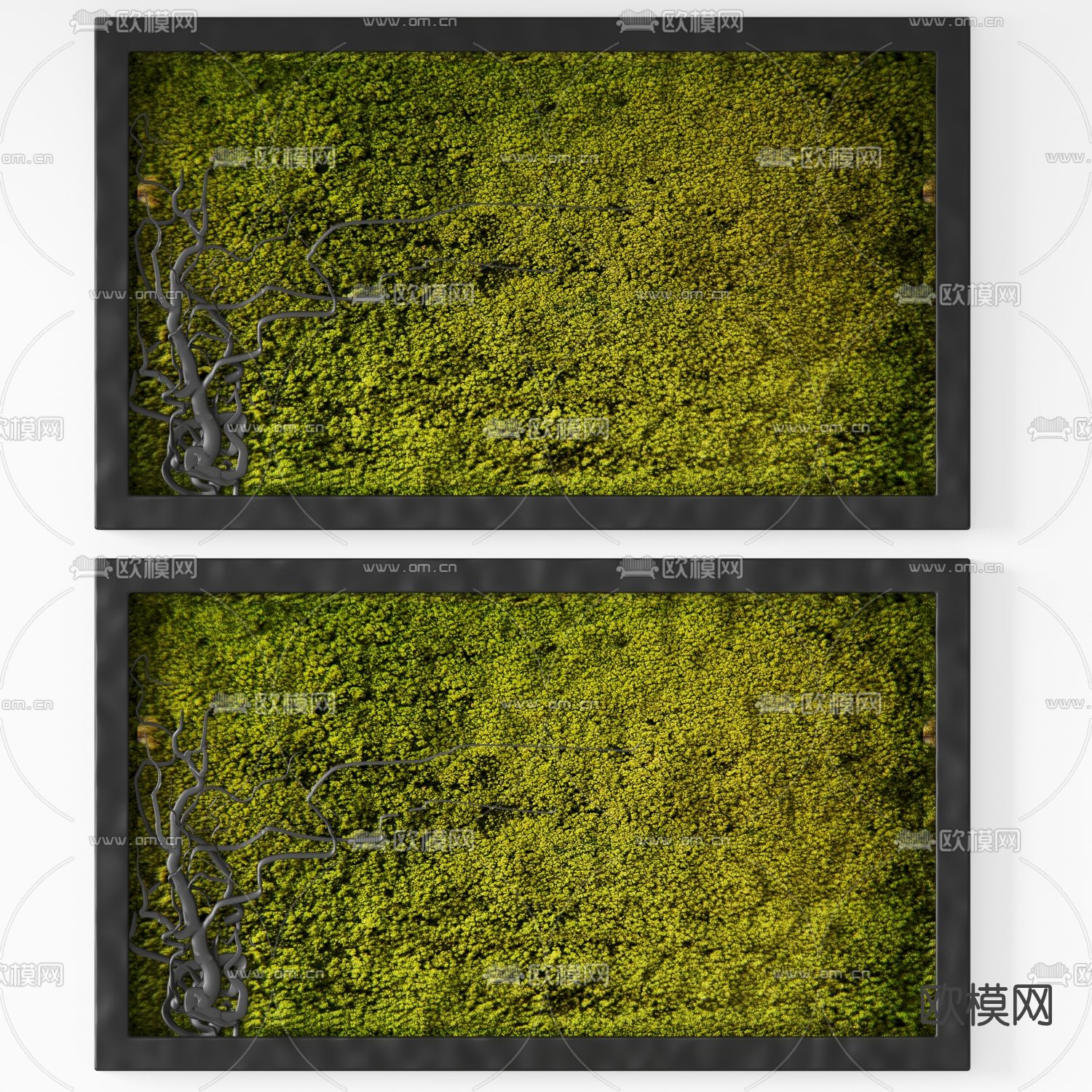 现代苔藓植物墙3d模型下载