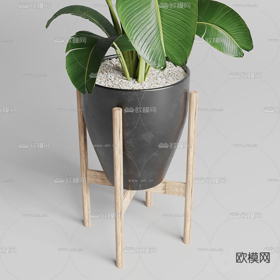 现代植物盆栽3d模型下载（渲染图2）