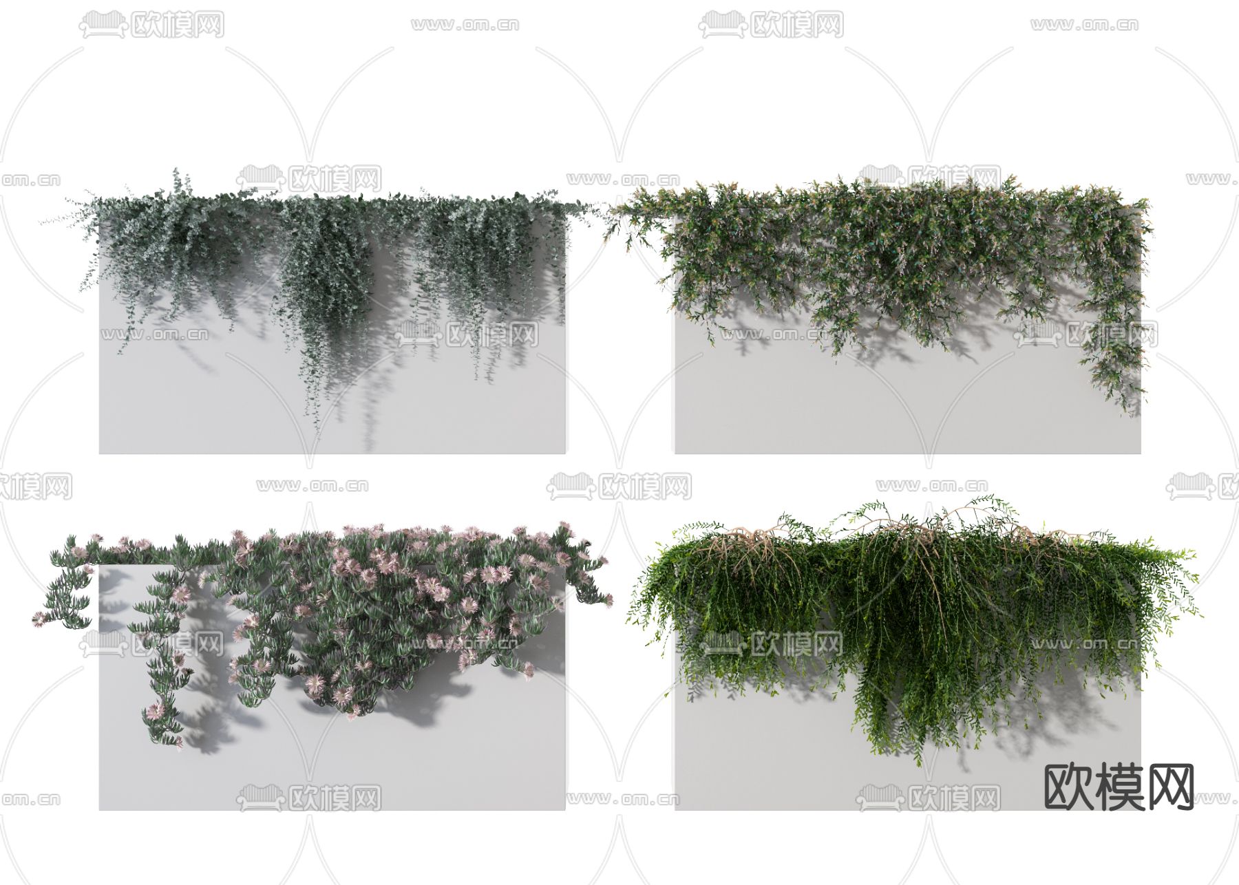 现代绿植盆栽藤蔓3d模型下载