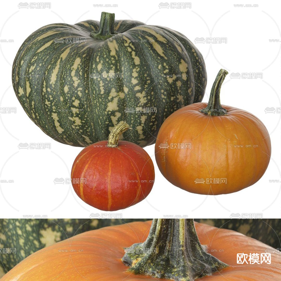 现代蔬菜南瓜3d模型下载（渲染图4）