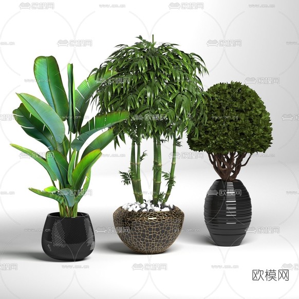 现代绿植盆栽免费3d模型下载_ID11612673_3dmax免费模型-欧模网