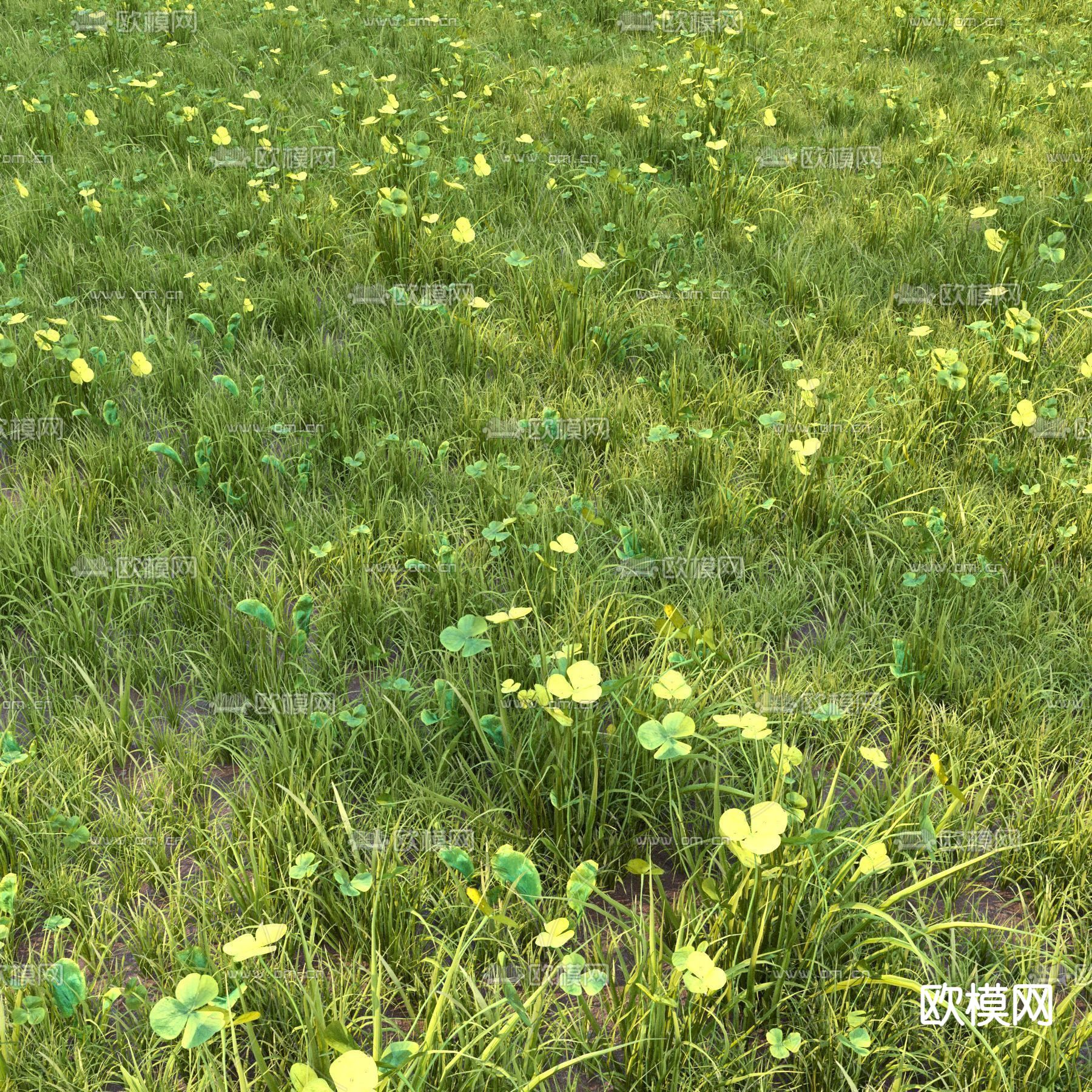 现代草地草坪3d模型