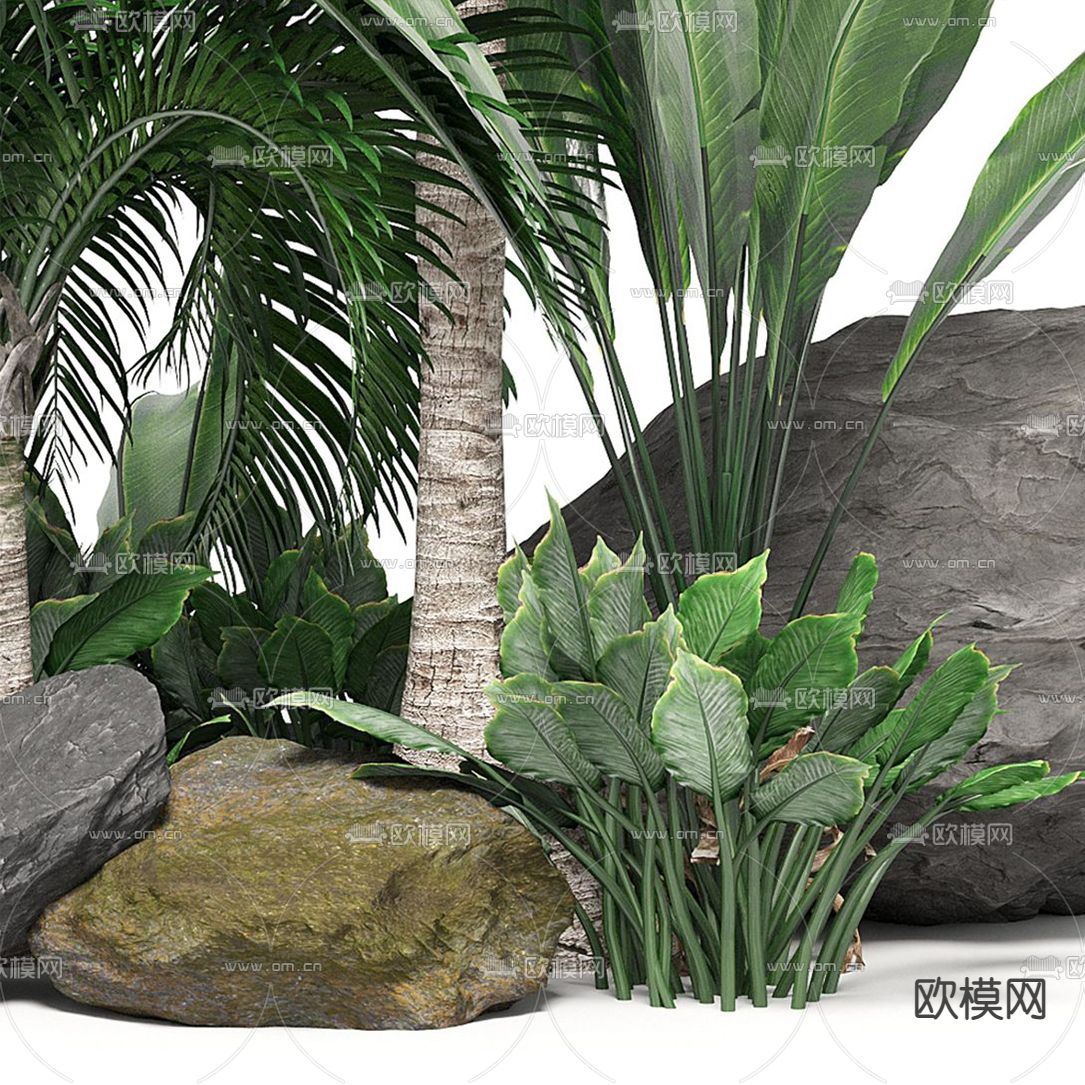 现代景观石热带植物小品3d模型